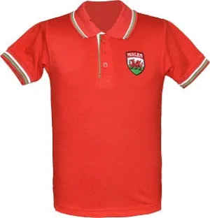 Buy Kids Wales Football Shirt Championship Polo Jersey